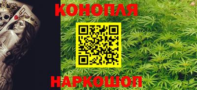 прущие грибы Партизанск