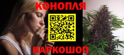 прущие грибы Партизанск