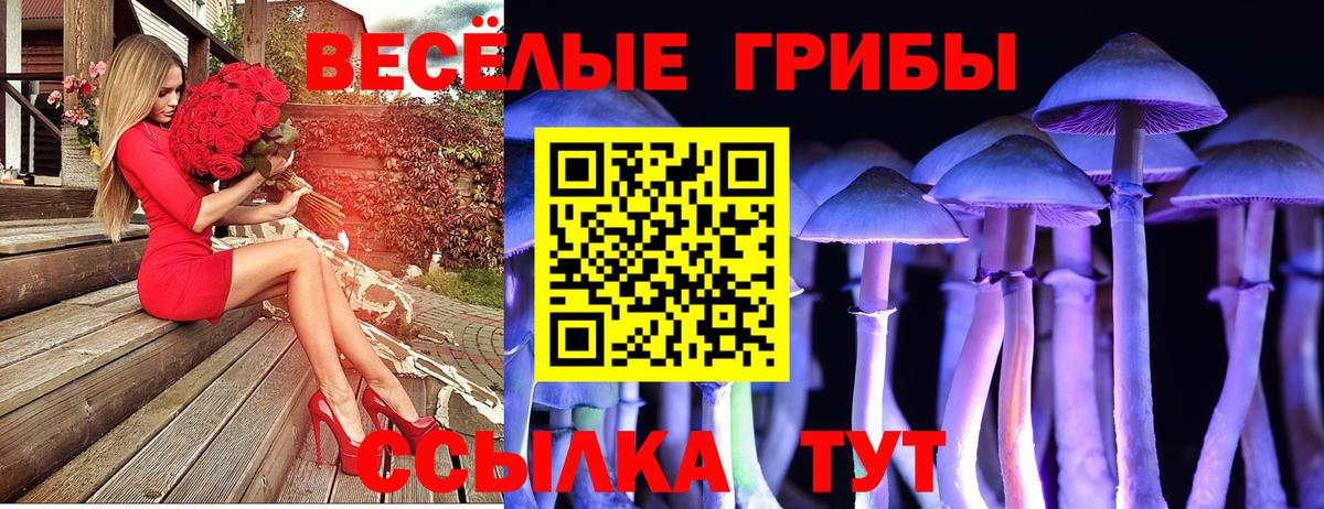 Псилоцибиновые грибы Magic Shrooms Свободный